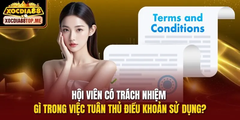 Hội viên có trách nhiệm gì trong việc tuân thủ Điều khoản sử dụng?